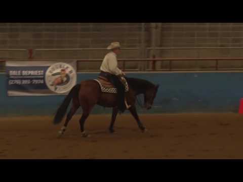 TERRY SATCHELL on GOTTA GET ER DONE 32417 NP