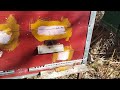 Силиконовая Форма Для Изготовления Вощины➳Aliexpress