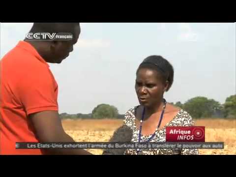 comment augmenter les rendements agricoles