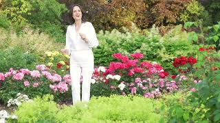 Hajrije Abazi - Një Bahçe Me Portokalle