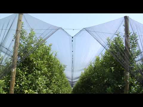 Reč struke ep. 259 23.07.2019. NAJAVA