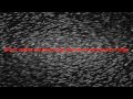 Breaking Point-Show Me a Sign lyrics 