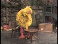 0642 Big Bird Saws A Table