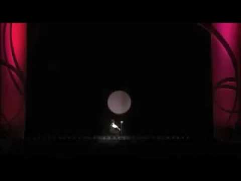 Comedian Jorge Blass amazing hand shadow performance