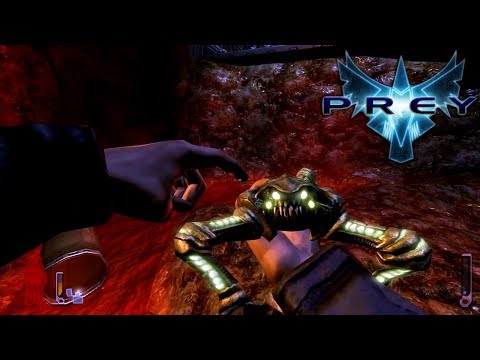 First Impressions On: Prey [2006]