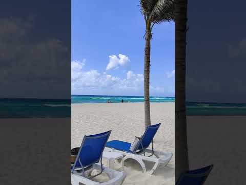 Videos del Allegro Playacar 4★ en Playa del Carmen, México
Ver Más
Ver
Precios
20
Cerrar
Consulta por Whatsapp 🇦🇷
Booking
Tripadvisor
Expedia
Agoda
Travelocity
Orbitz
Priceline
Trip
Skyscanner
Despegar
Kayak
Hoteles
Destinia
Trivago
Turismocity
Almundo
Lastminute
Hotwire
Cheaptickets
Tui
