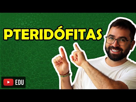 Pteridófitas - Aula 03 - Módulo V: Botânica | Prof. Guilherme