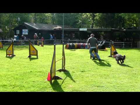 20150516 NK Furpach Uwe mit Viva A1