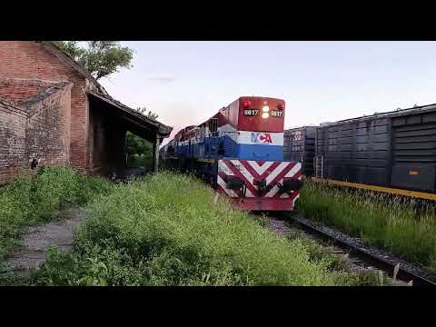 Gr- 12 (6617) + Alco (8272) con un Tren Vacio a su paso por "Estación Taboada" en plena tarde 🚂🌇🇦🇷