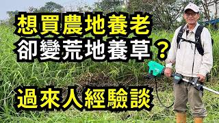 哪些事讓你後悔買農地?過來人如何克服?避免衝動退休買地養老，田園夢變噩夢，規劃清理才是考驗！| 阿星種植