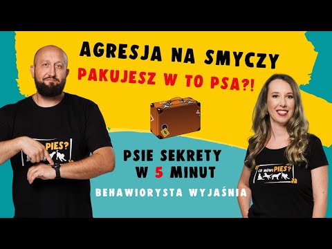 Pies warczy i rzuca się na smyczy na inne psy. Dlaczego?