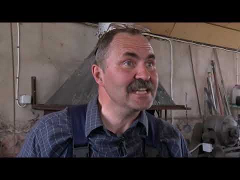 PROVINCE: Savas laimes kalējs