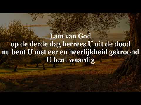 Opwekking met tekst 828 Waardig is Uw Naam