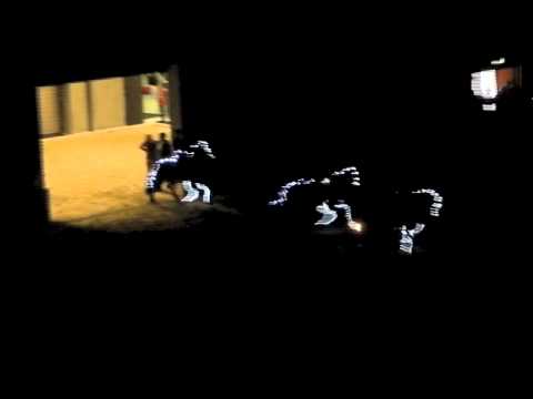 WorldTölt 2013 - Kronshof-Lightshow - www.kronshof.de