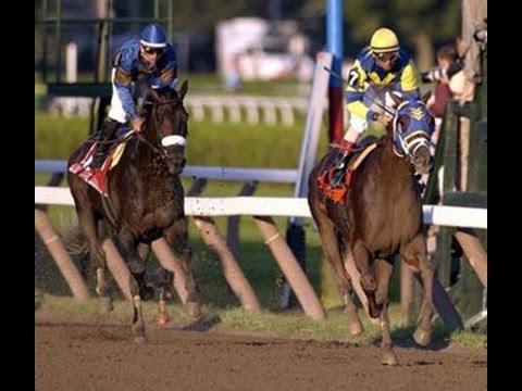 2005 Travers Stakes - Flower Alley