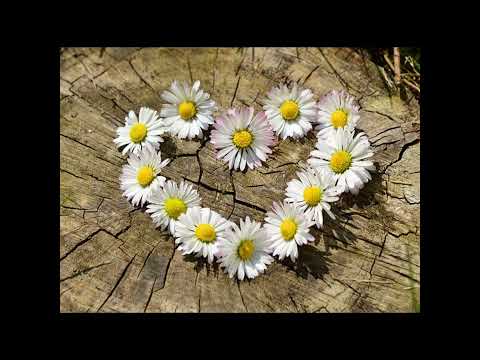 meghraj mayank Khairiyat P...