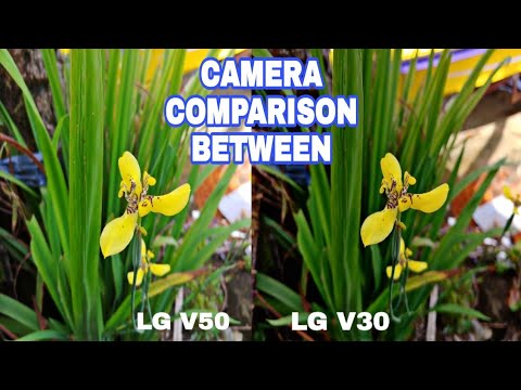 LG V50 vs LG V30 camera comparison indoor/outdoor