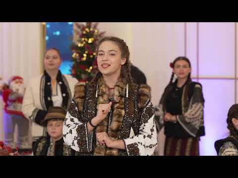 Daria Cojocaru -Aseara ce am auzit