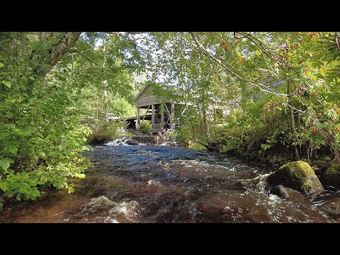 4K Forest Stream - Relaxing River Sounds - Växbo Kvarn, Old watermill in Sweden