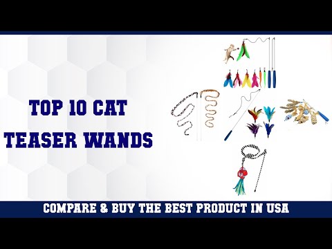 Top 10 Cat Teaser Wands to buy in USA 2021 | Price & Review