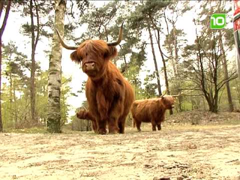 Aflevering 1 - brabant10 nieuws jaaroverzicht - 2010