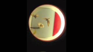 magik markers - axis mundi
