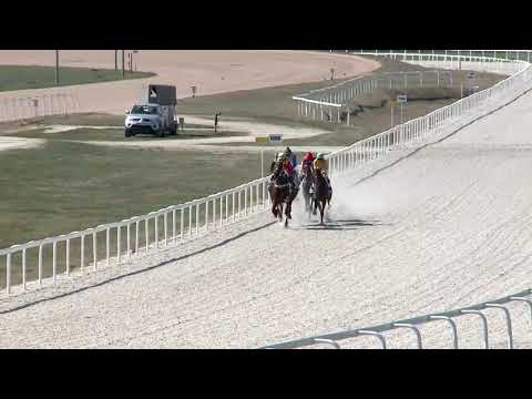 2019.03.31. 01. futam - MEGNYITÓ VERSENY (I.kat.) (szintetikus pálya)