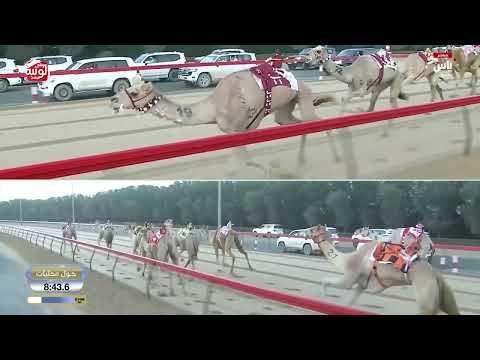 ش 1 (ساسكو) لـ ناصر عبدالله بن احمد المسند 12:21:20 ، ختامي المرموم 2026/04/01 حول وزمول