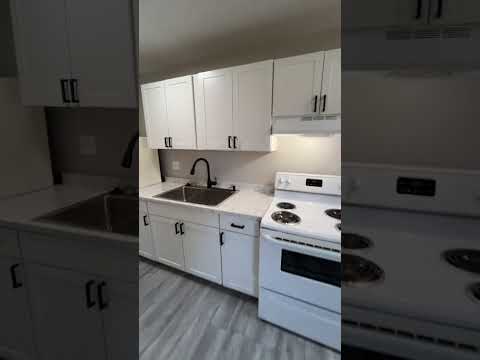 1610-1620 Emerald Ave - Video 2 of 2