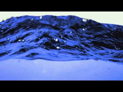 Cale - se Diante Dele - Stênio Marcius
