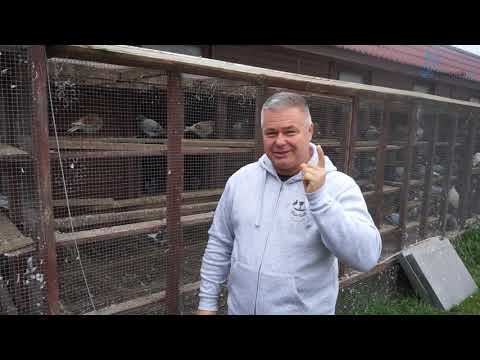 Roman Cichy oddział środa Śląska Leśnica