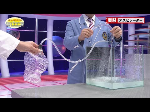 ニンフォンについて詳しく解説