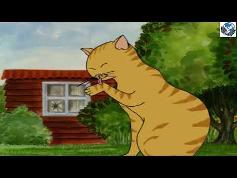 Hairy Maclary - Scattercat