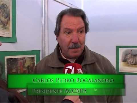 Especial Cañuelas N° 2 - Bloque 1