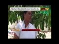 1500 Baby Delivery By Health Worker Geetaben Of Mithi Paldi Government Notices Her Work