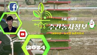 [ 주간농사정보 ] 5월 4째주 (2024. 05. 20. ~ 05. 26.)