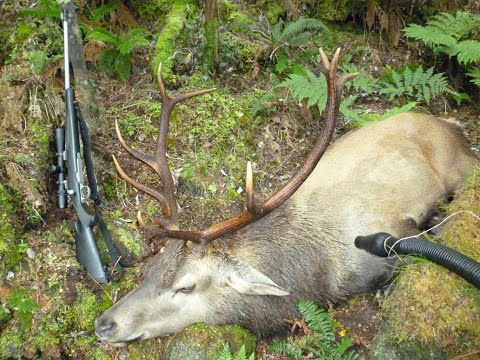 Lugar Burn 2005  Part 2