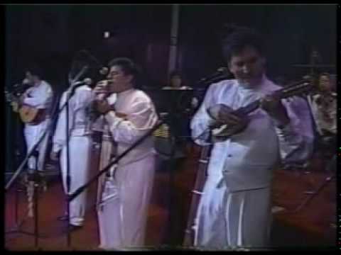 proyecto PACHA - solo