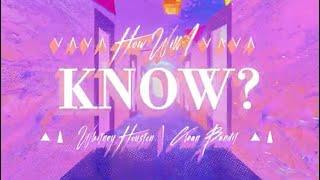 Whitney Houston x Clean Bandit – “How Will I Know” (Lyric Video)