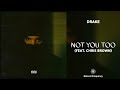 Drake Not You Too Ft Chris Brown 432Hz