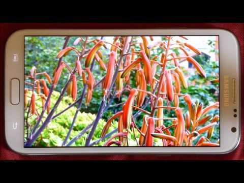 Full Screen Pic Picture Viewer Video