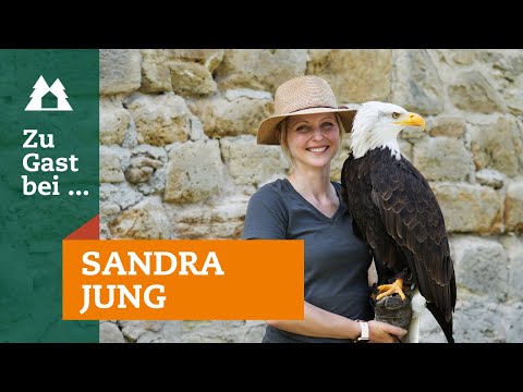 Rehwildjagd in Thüringen: Rehbock erlegt | Zu Gast bei Falknerin Sandra Jung | Roebuck | unsere Jagd