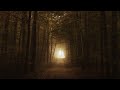 Vangelis Reve 800 Slowed Ambient