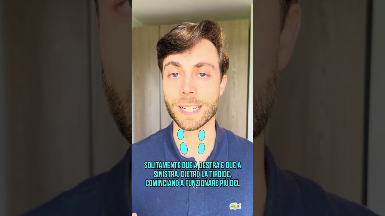 Luigi Bonifazi Meffe-2