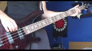 Video thumbnail for Harley Benton B-450 Progressive Series Sound Test by J Ferreira