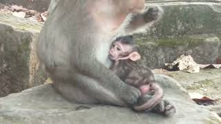 VID20250121164327 view top 1 2