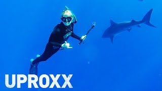 Does Humanity's Future Depend On Sharks?