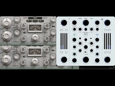 Compressors | Acustica Audio TIGER compressor