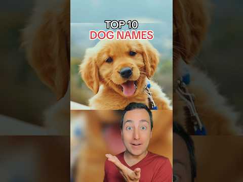 The Top 10 Dog Names #shorts