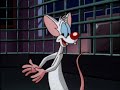 ANIMANIACS 1993 PINKY AND THE BRAIN 1995 Volume 3 DVD Trailer Amblin